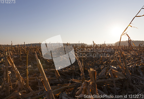 Image of agricultural field