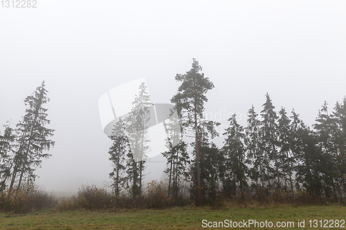 Image of fog autumn landscape