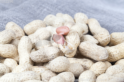 Image of nut fresh