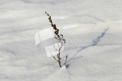 Image of Snow drift