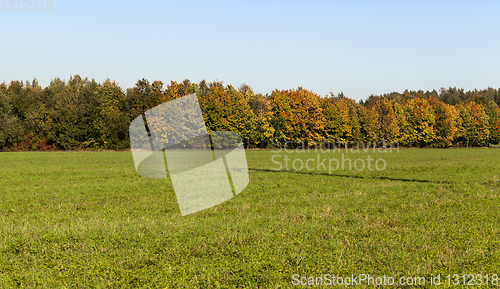 Image of Field autumn