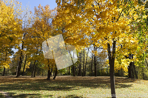 Image of park autumn