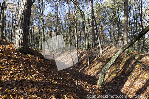 Image of Hilly park autumn