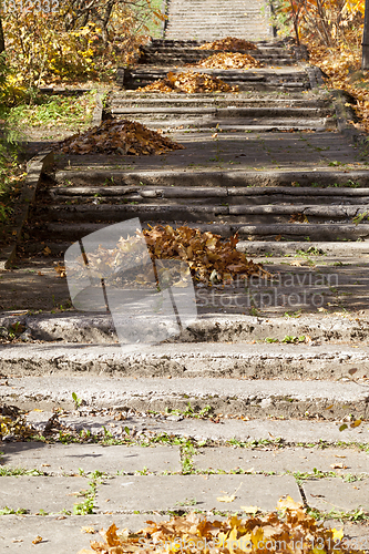 Image of foliage stairs