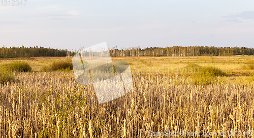 Image of Autumn landscape