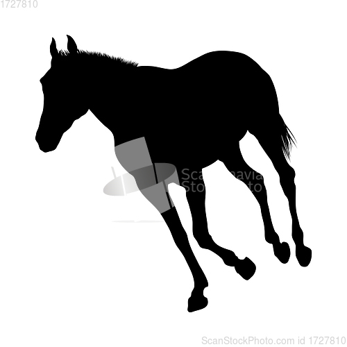 Image of Horse Silhouette