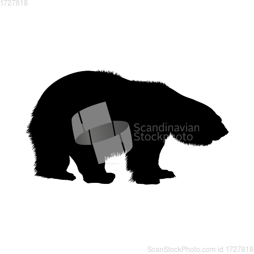 Image of Polar Bear Silhouette