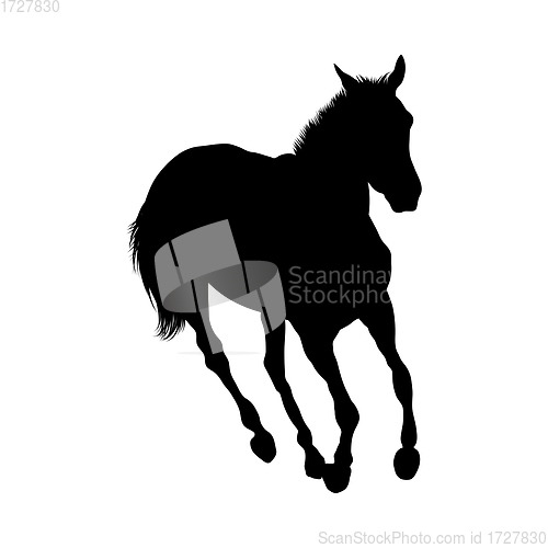 Image of Horse Silhouette