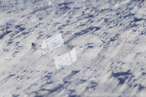 Image of Snow after snowfall