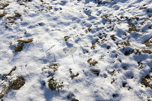 Image of land covered with snow