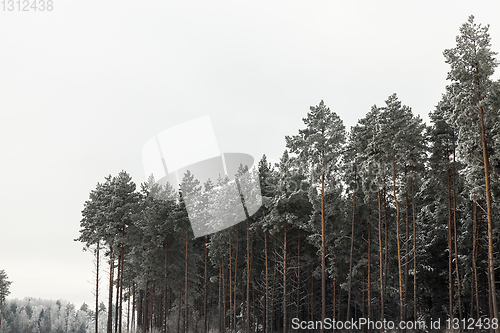 Image of Snow drifts in winter