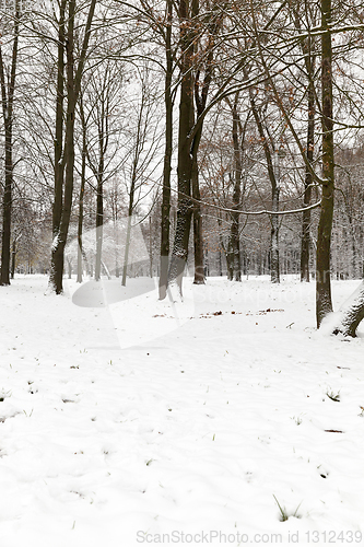 Image of Snow drifts in winter