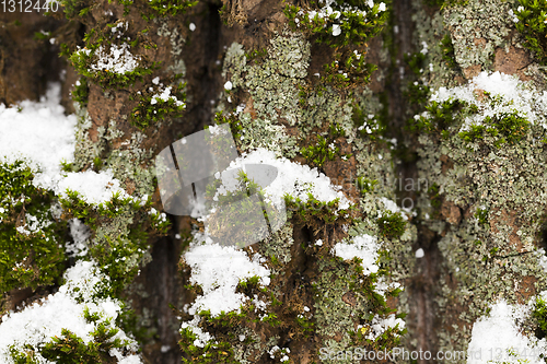 Image of Winter time of the year, close-up