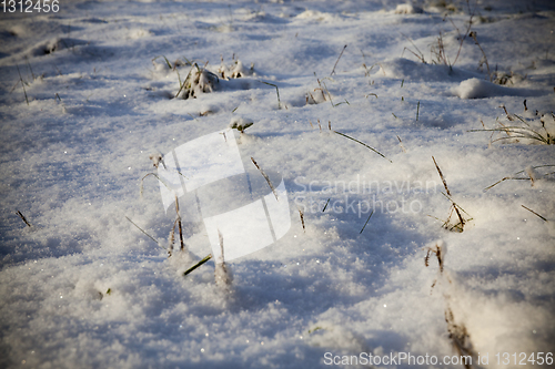 Image of After snowfall