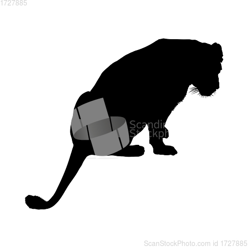 Image of Lion Silhouette