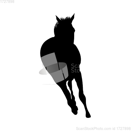 Image of Horse Silhouette