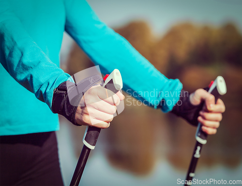 Image of Woman's hand holding nordic walking poles