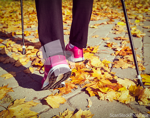 Image of Nordic walking