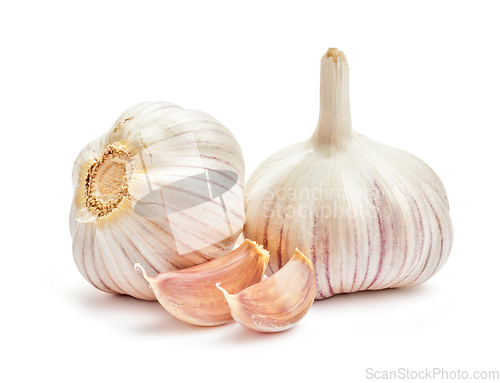 Image of Garlic isolated
