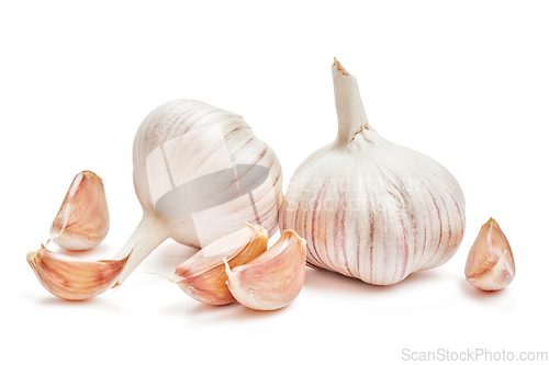 Image of Garlic isolated