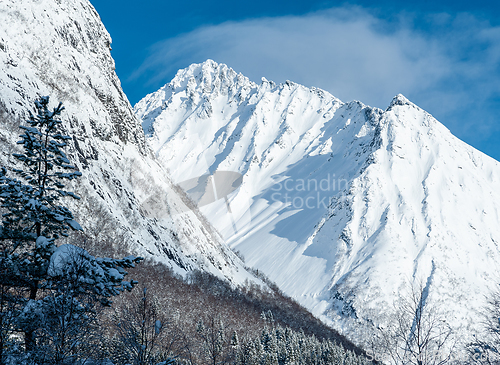 Image of snowy mountain peak above the forest