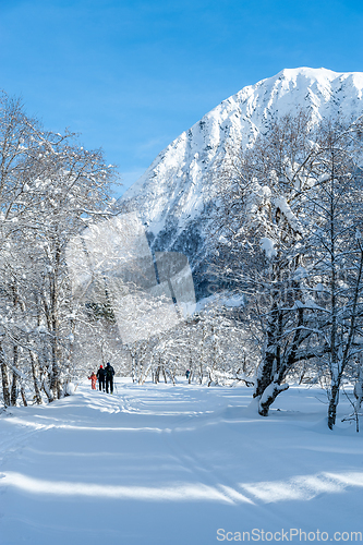 Image of ski track in the forest towards rambjøra