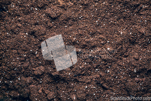 Image of Textured fertile soil as background. Gardening and planting season