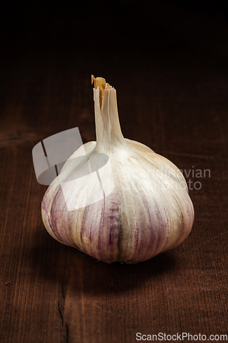 Image of Garlic