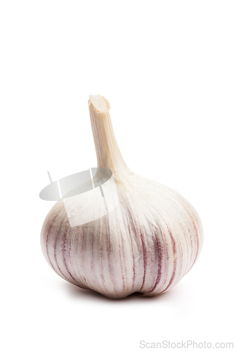 Image of Garlic isolated