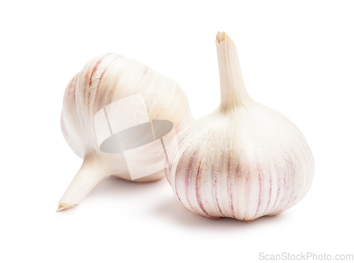 Image of Garlic isolated