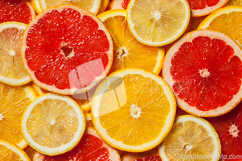 Image of Colorful citrus fruit slices