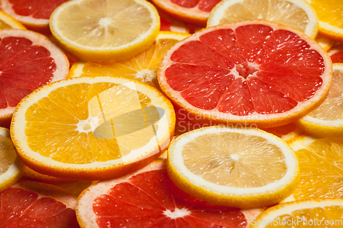 Image of Colorful citrus fruit slices