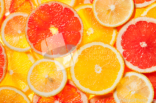 Image of Colorful citrus fruit slices