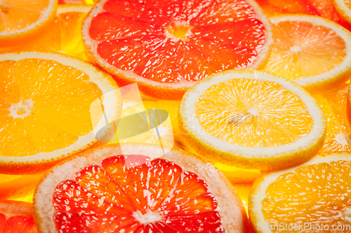 Image of Colorful citrus fruit slices