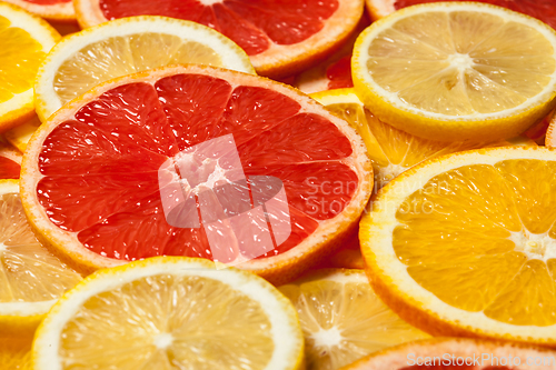 Image of Colorful citrus fruit slices