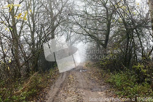 Image of dirt and traces of car