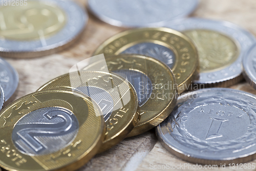 Image of Polish zloty coins