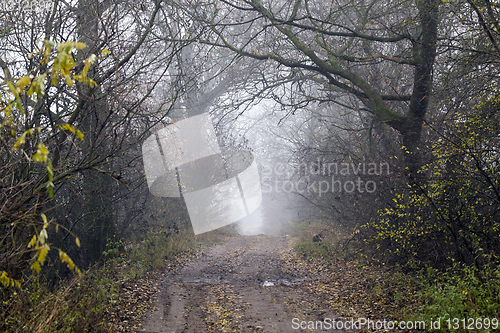 Image of dirt and traces of car