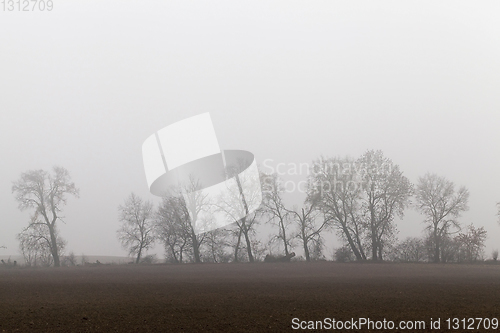 Image of autumn morning