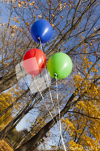 Image of Red blue green balloons