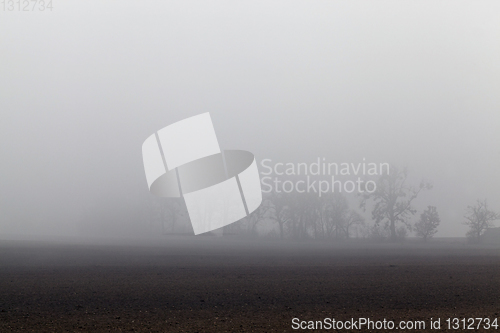 Image of autumn morning