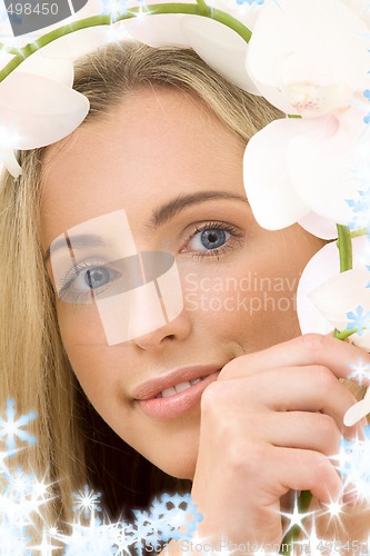Image of white orchid