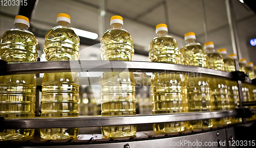 Image of Sunflower oil in the bottle moving on production line. Shallow dof.