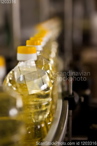Image of Sunflower oil in the bottle moving on production line. Shallow dof.