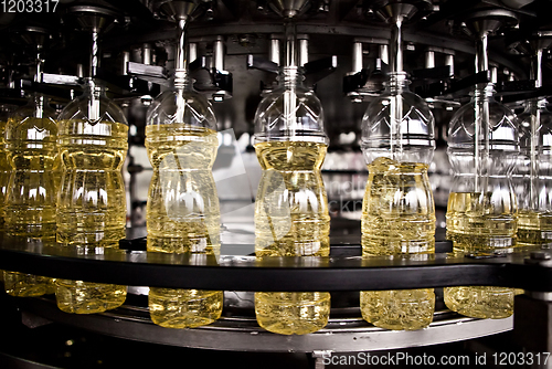 Image of Sunflower oil in the bottle moving on production line. Shallow dof.