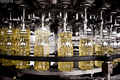 Image of Sunflower oil in the bottle moving on production line. Shallow dof.