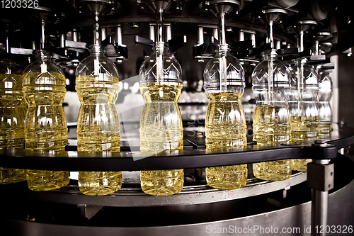 Image of Sunflower oil in the bottle moving on production line. Shallow dof.