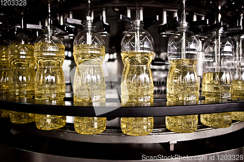 Image of Sunflower oil in the bottle moving on production line. Shallow dof.