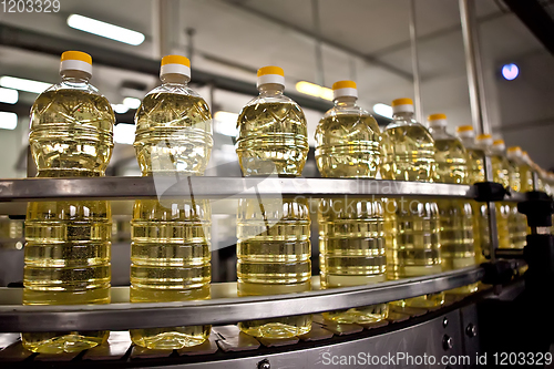 Image of Sunflower oil in the bottle moving on production line. Shallow dof.