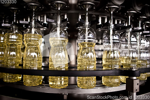 Image of Sunflower oil in the bottle moving on production line. Shallow dof.